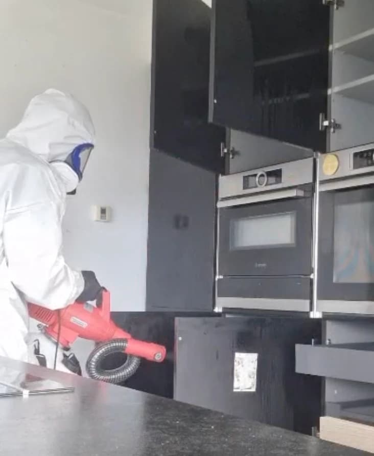 Nébulisation professionnelle contre les puces pour atteindre les zones difficiles d'accès à Décines-Charpieu