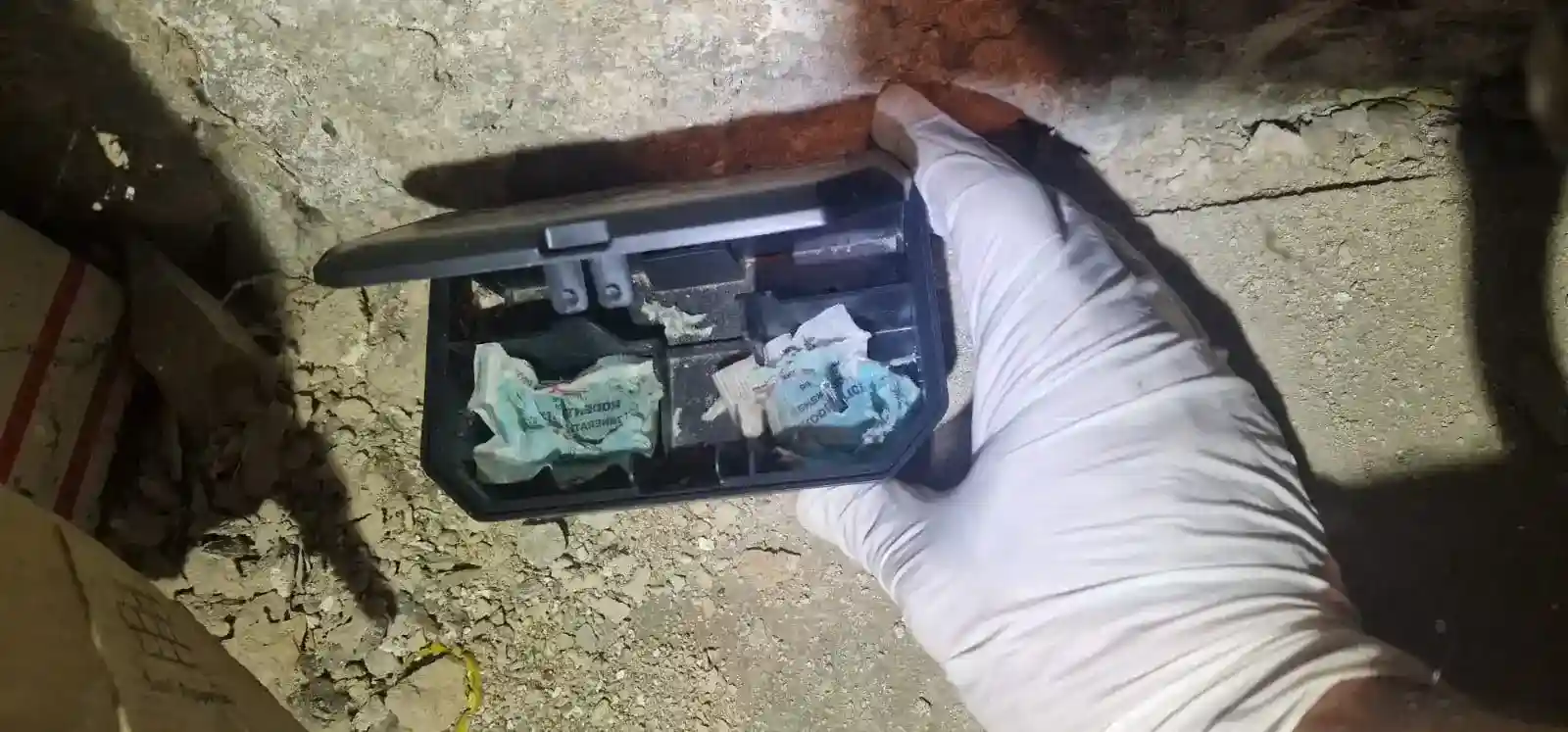 Poste d'appâtage professionnel pour souris placé lors d'une intervention de dératisation