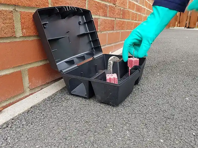 Guide visuel de la pose d'appâts pro chez nos clients