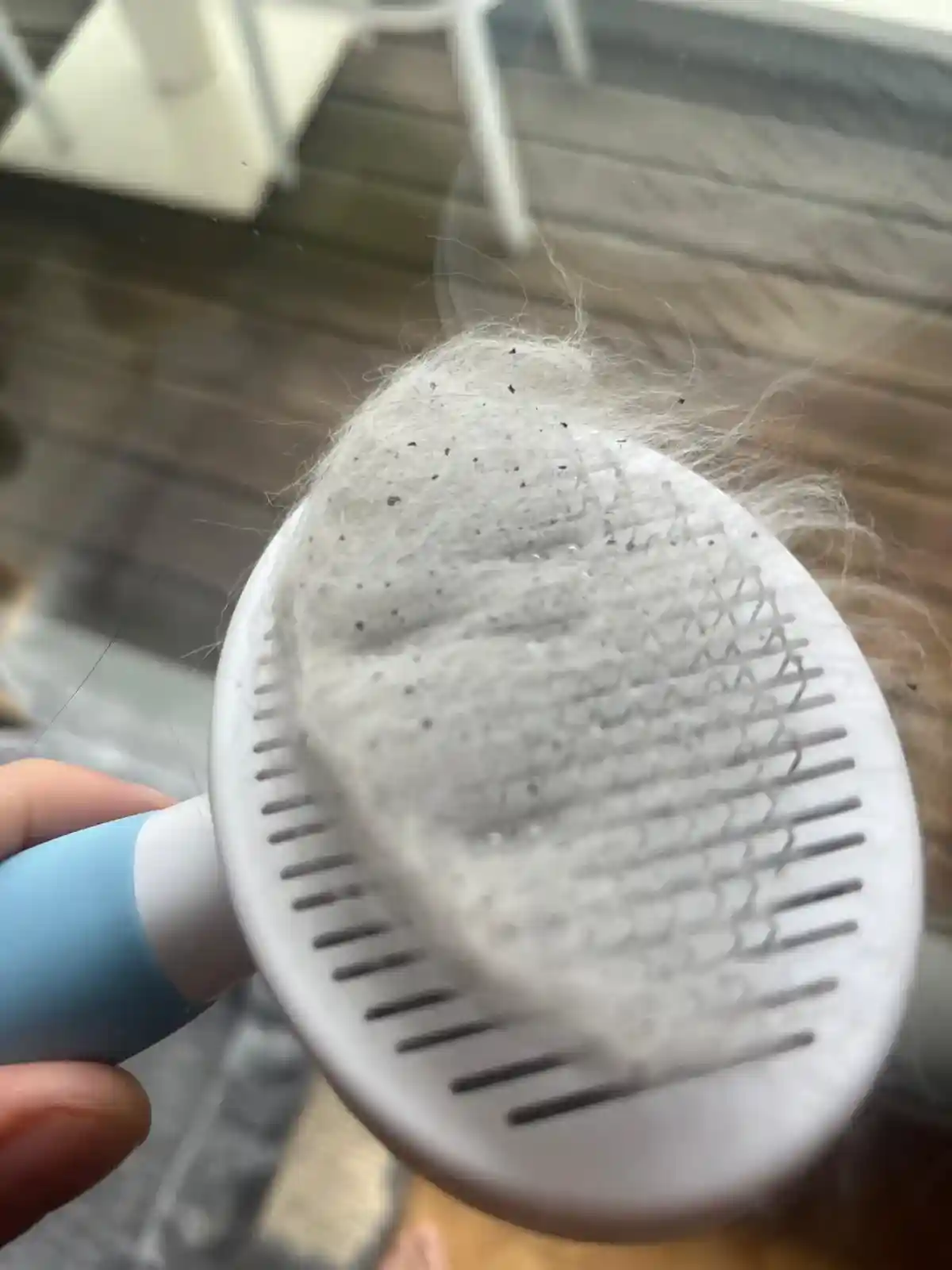 Excréments de puces et poils d'animaux : signes d'infestation de puces