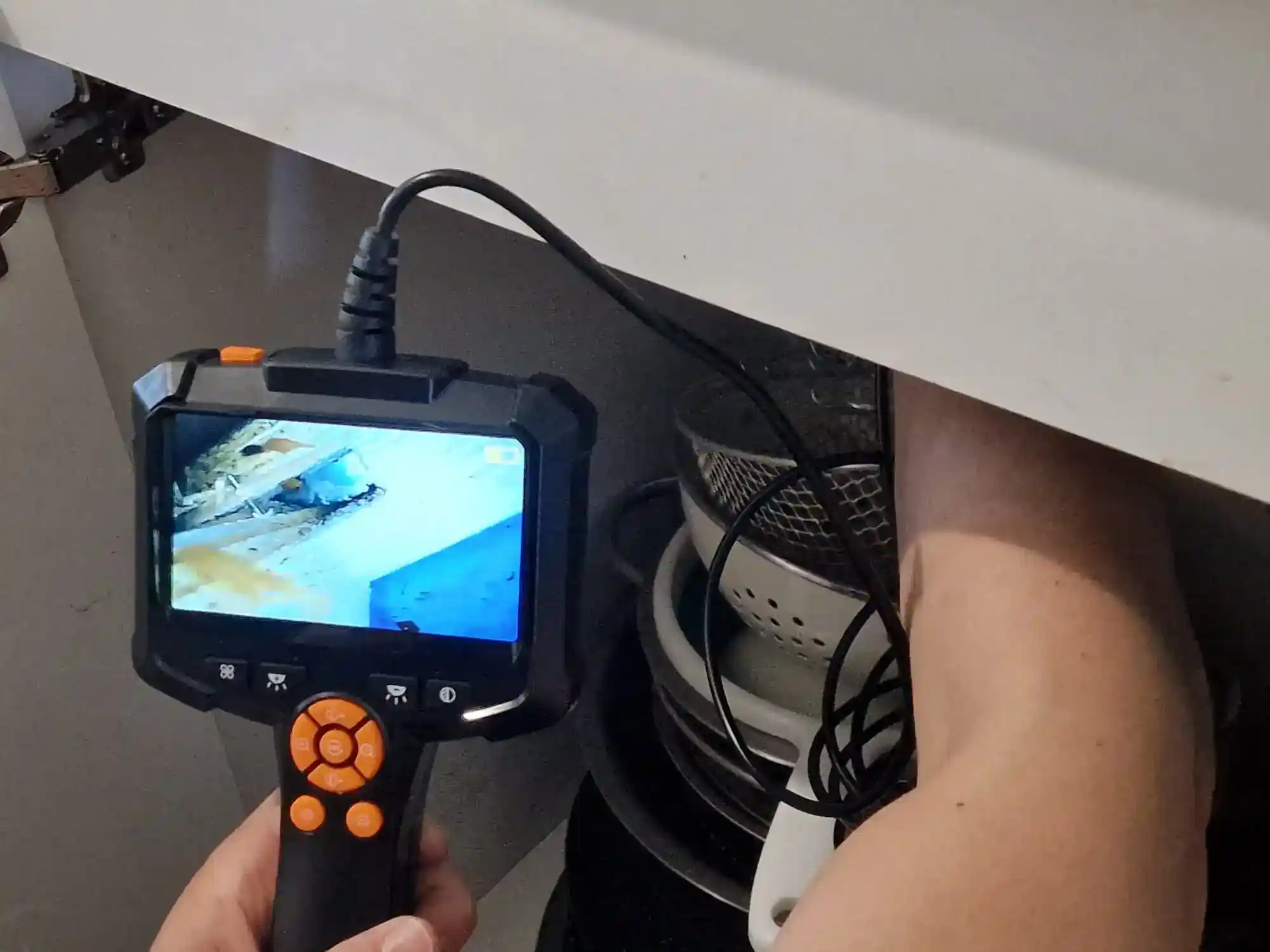 Photo d'une detection de cafards par caméra endoscopique pour atteindre des zones non visibles à l'oeil nu