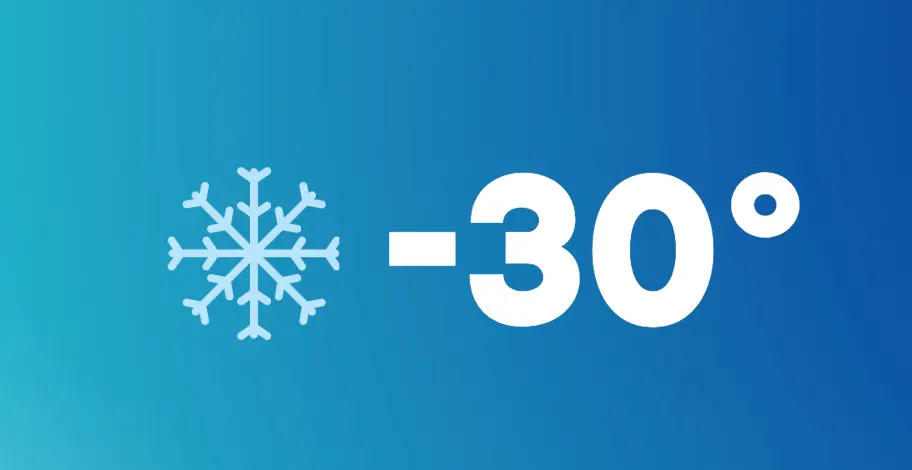 Traitement congélation de punaises de lit à Lyon