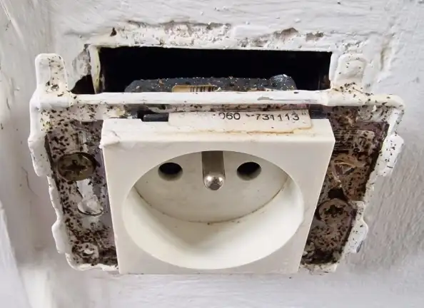 Traces de cafards autour d'une prise électrique à Vénissieux