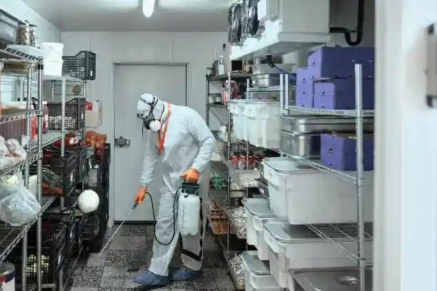 Intervention anti-nuisibles dans un commerce – Nuisi'Guard