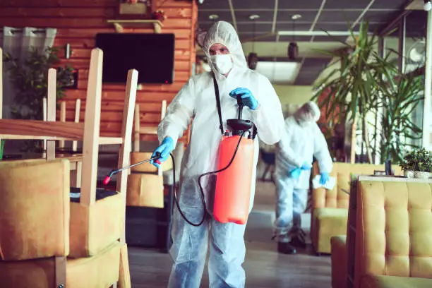 Intervention anti-nuisibles en restaurant – Nuisi'Guard