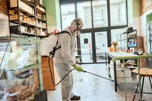 Désinsectisation professionnelle pour restaurants – Nuisi'Guard