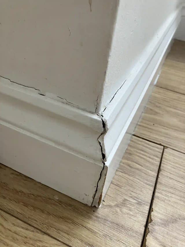 Fissure de plinthe, cachette de punaises de lit