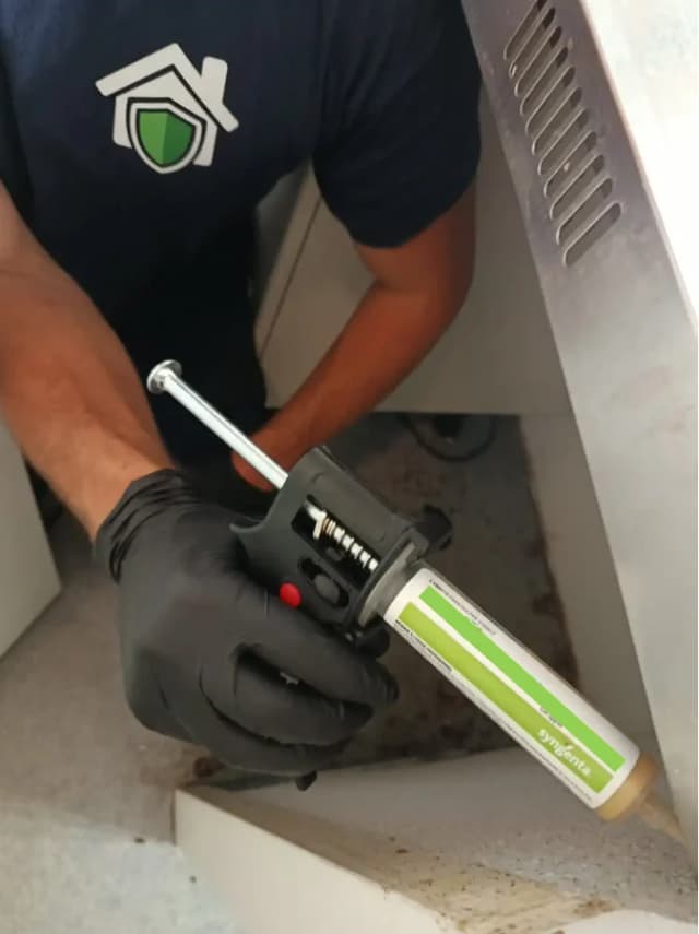 Application de gel insecticide professionnel lors d'une intervention à Lyon