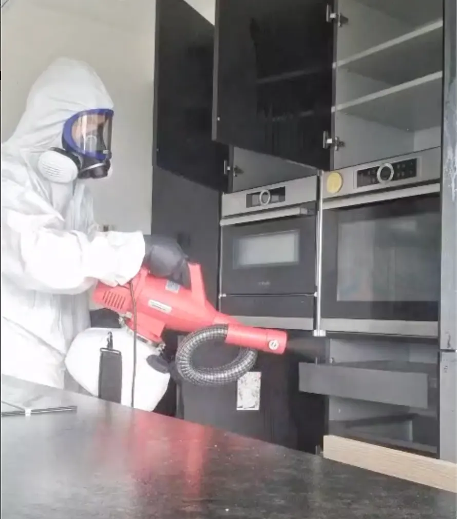 traitement insecticide par nébulisation contre les cafards