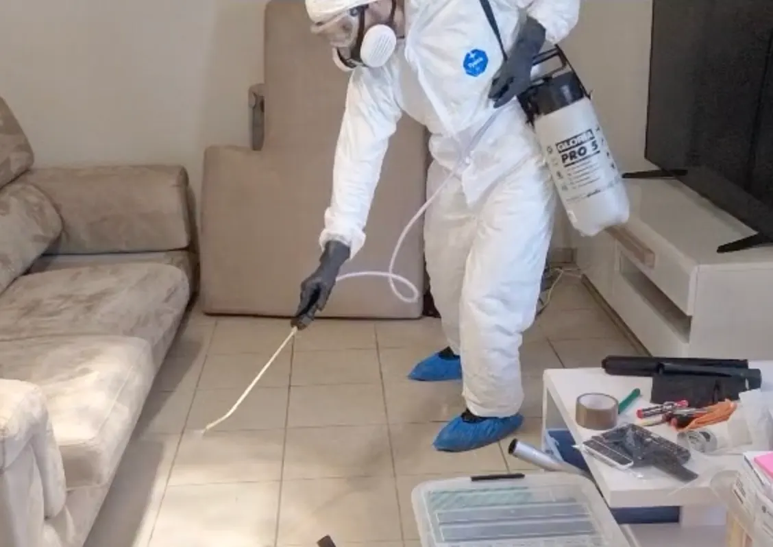 traitement insecticide par pulvérisation contre les cafard