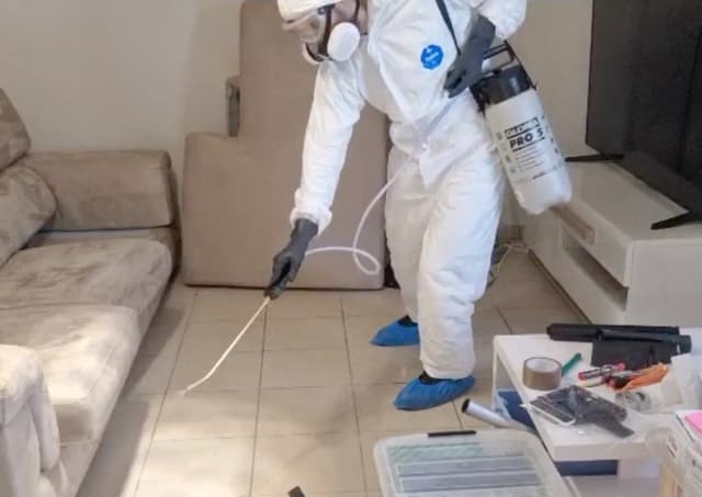 Intervention pulvérisation insecticide – Nuisi'Guard