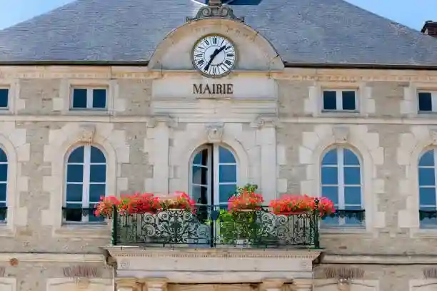 Intervention dératisation mairie – Lyon