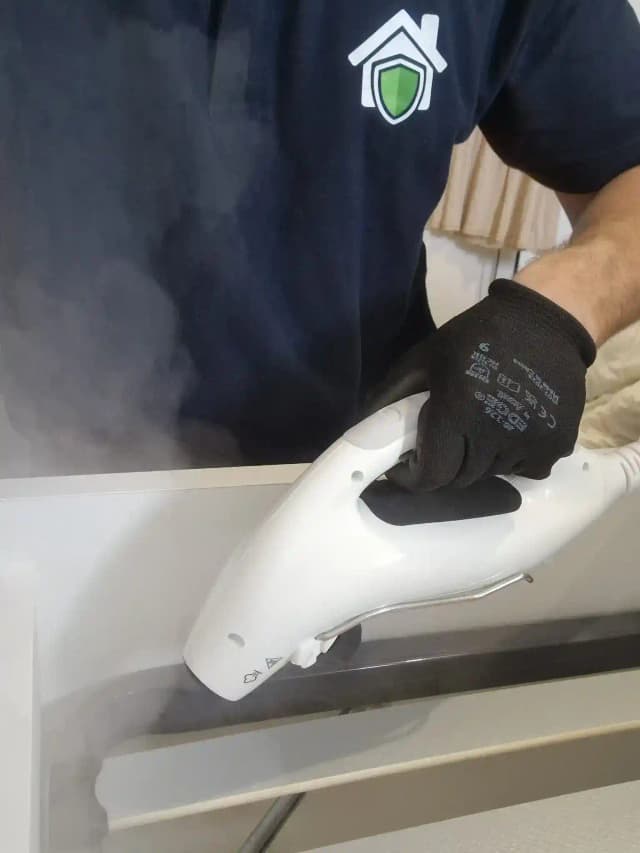 Traitement vapeur de punaises de lit à Lyon