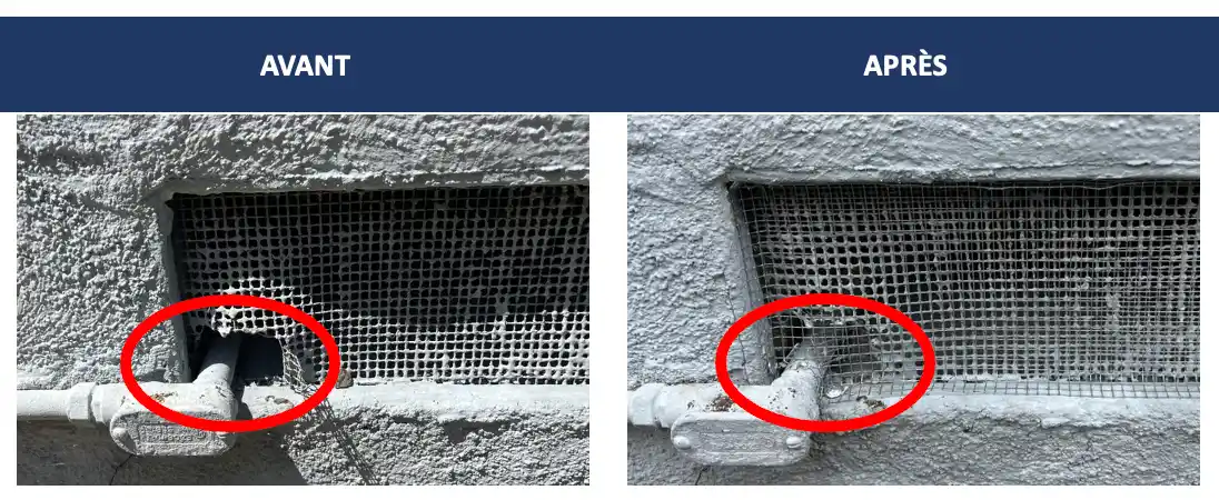 Obturation de point d'entrée pour empêcher l'accès des rats à Décines-Charpieu