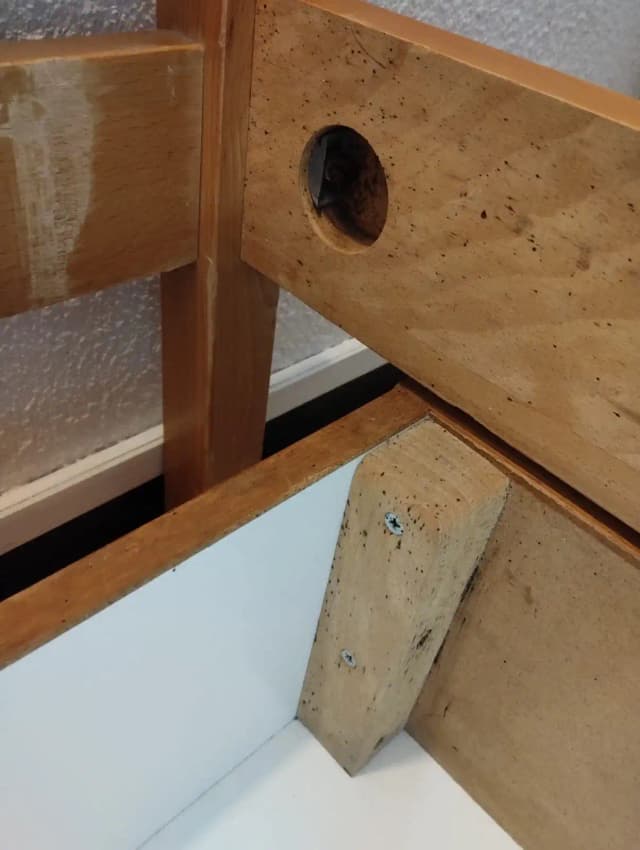 Traces de punaises de lit : déjections et taches de sang