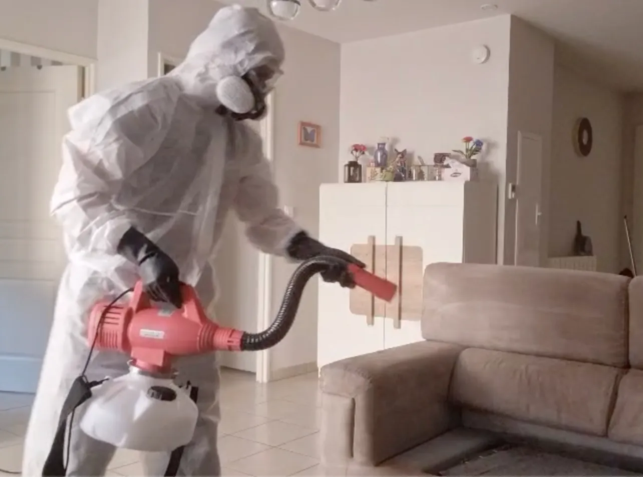 Traitement professionnel anti-mites