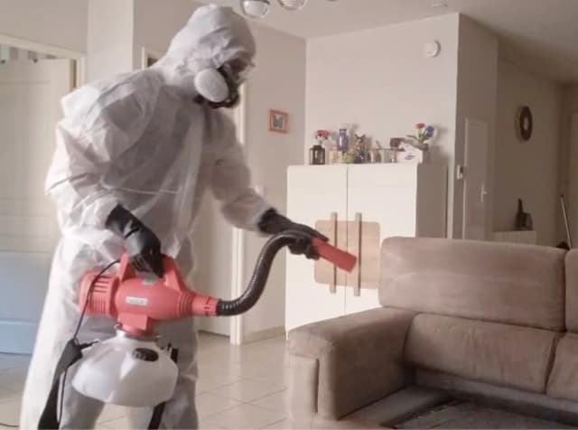 Traitement au nébulisateur d'un salon infesté de punaises de lit à Lyon