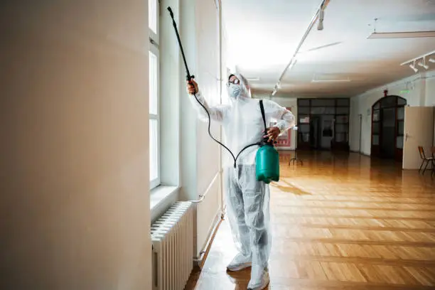 Intervention anti-nuisibles en bâtiment communal – Nuisi'Guard