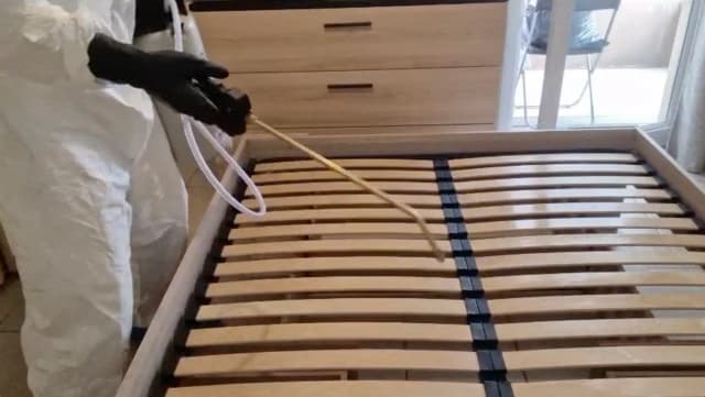 Pulvérisation d'insecticide homologué contre les punaises de lit lors d'une intervention à Lyon