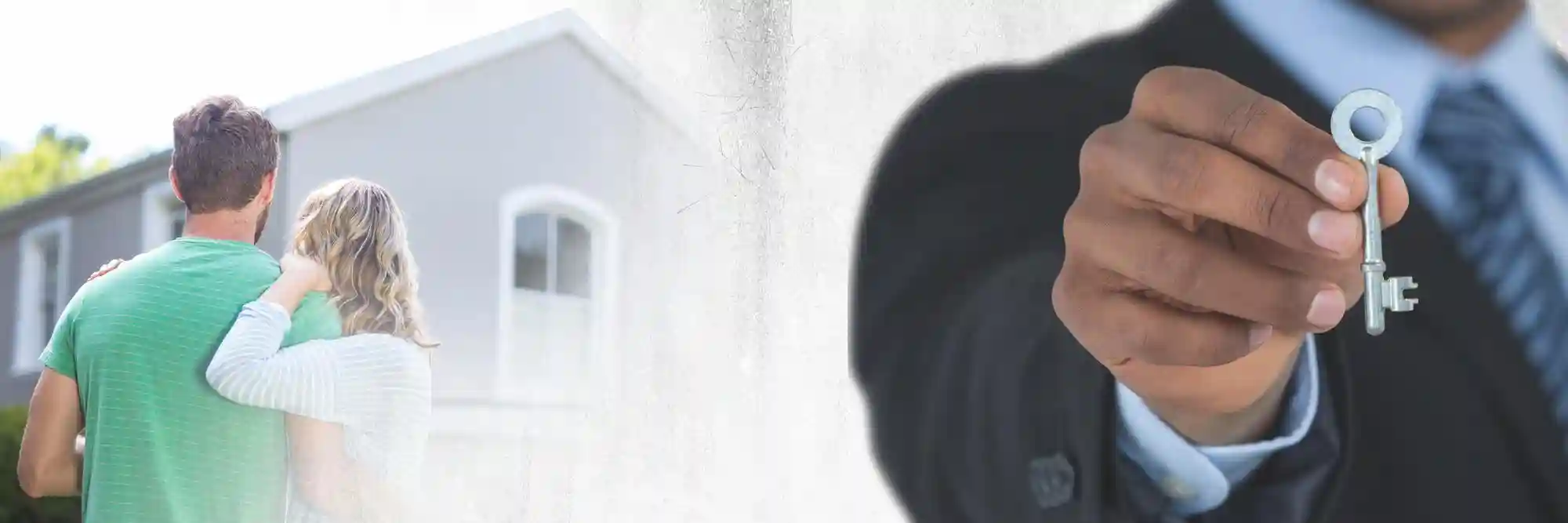 Nuisibles et vente immobilière en 2025: Obligation de déclaration au notaire