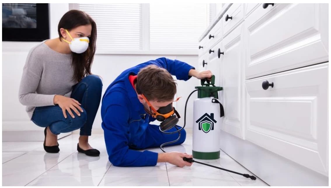 Intervention effectuée à Lyon pour un traitement anti cafards en appartement