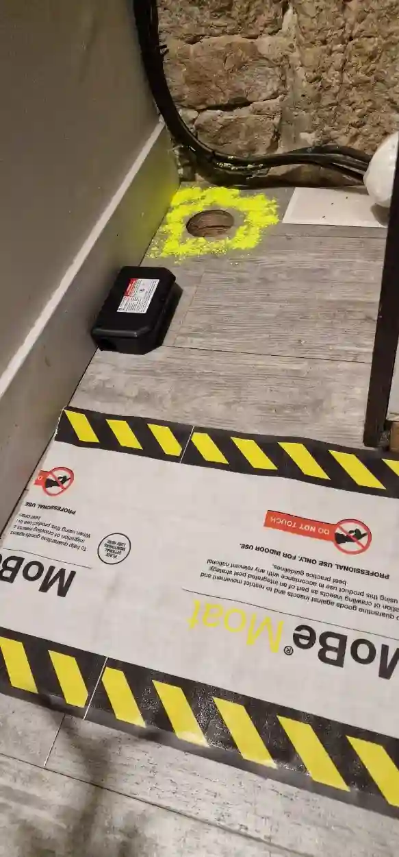 Bandes professionnelles pour attraper les rongeurs – intervention de dératisation dans un restaurant à Lyon