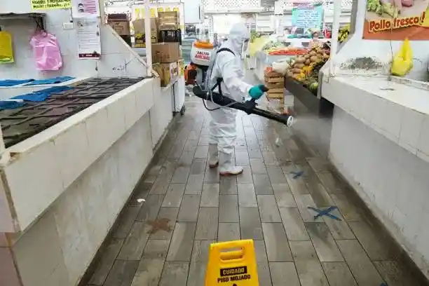 Désinsectisation professionnelle pour commerces – Nuisi'Guard