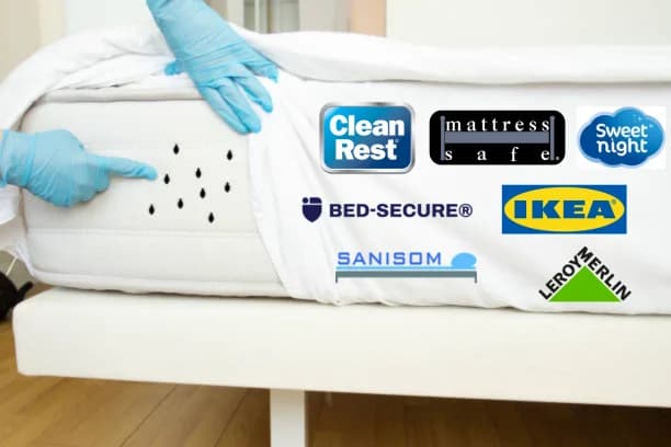 Housse anti punaise de lit : efficacité réelle, avis et erreurs à éviter