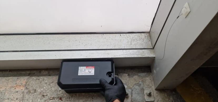 Indices de présence de rats à Bron