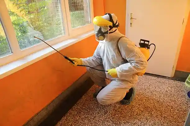 Désinsectisation professionnelle pour établissements de santé – Nuisi'Guard