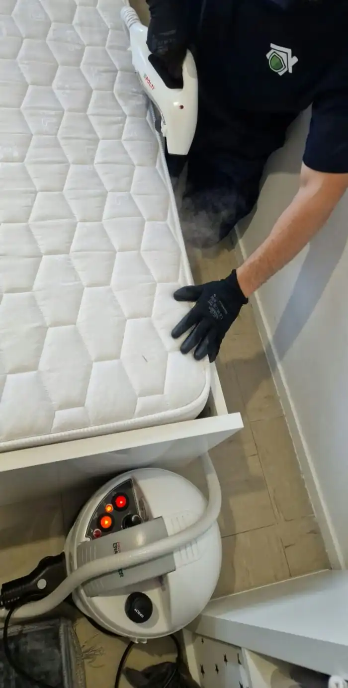 Traitement vapeur de punaises de lit d'un matelas à Lyon